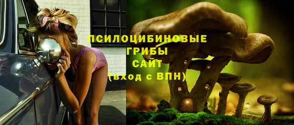 гашик Абдулино