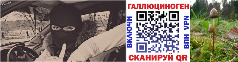 Галлюциногенные грибы ЛСД Кедровый